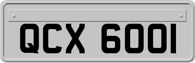 QCX6001