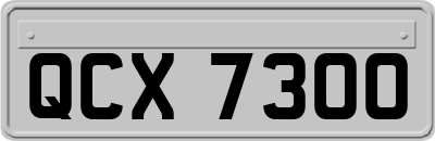 QCX7300