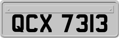 QCX7313