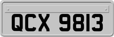 QCX9813