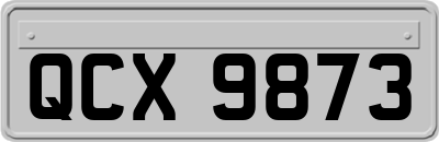 QCX9873