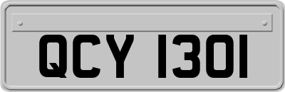 QCY1301