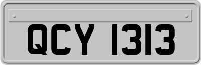 QCY1313