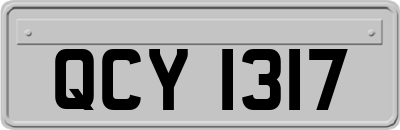 QCY1317