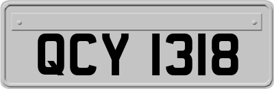 QCY1318