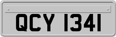 QCY1341