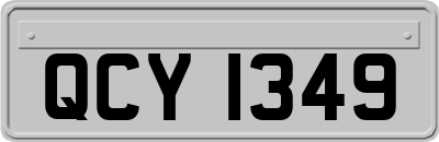 QCY1349