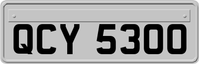 QCY5300