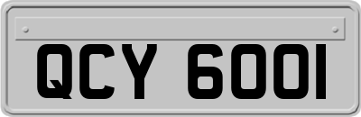 QCY6001