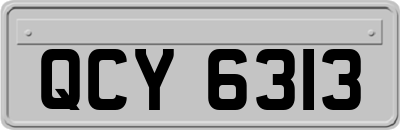 QCY6313