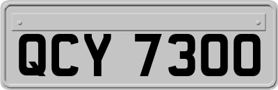 QCY7300