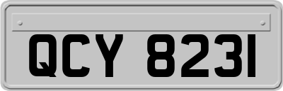 QCY8231