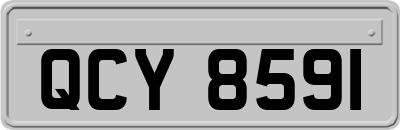 QCY8591