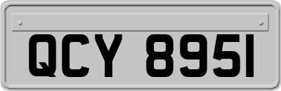 QCY8951