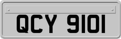 QCY9101