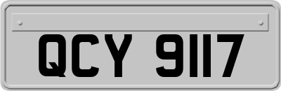 QCY9117