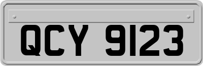 QCY9123