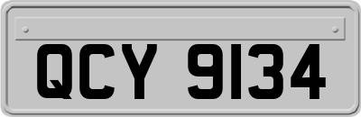 QCY9134