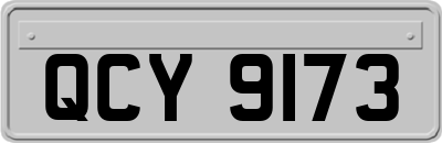 QCY9173