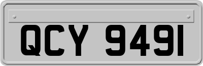 QCY9491