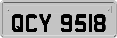 QCY9518