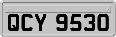 QCY9530