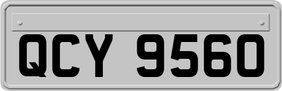 QCY9560