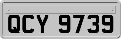 QCY9739