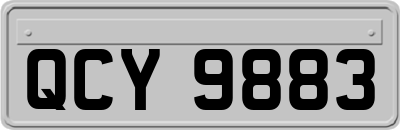 QCY9883