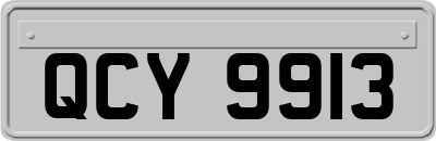 QCY9913