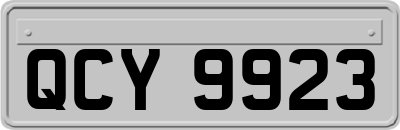 QCY9923