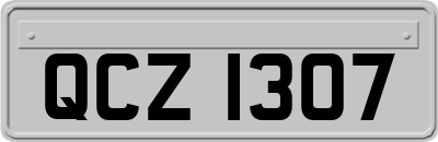 QCZ1307