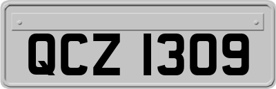 QCZ1309