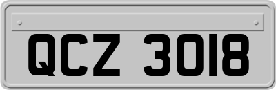 QCZ3018