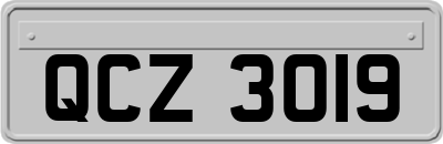 QCZ3019