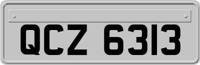 QCZ6313