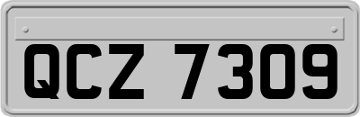 QCZ7309