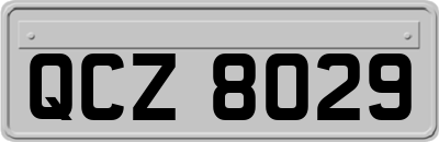 QCZ8029