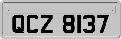 QCZ8137