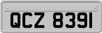 QCZ8391