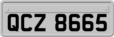 QCZ8665