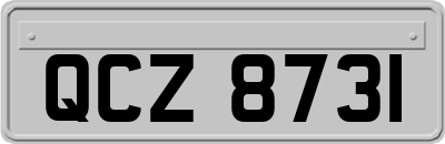 QCZ8731