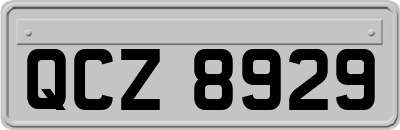 QCZ8929