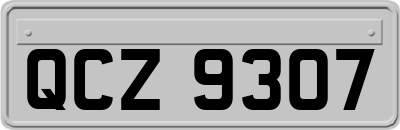 QCZ9307