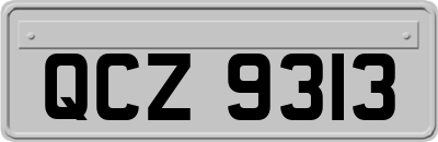 QCZ9313