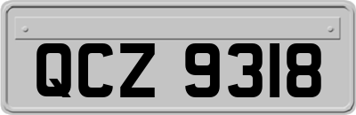 QCZ9318