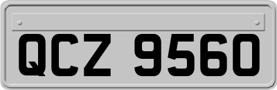 QCZ9560