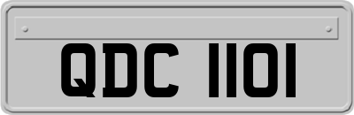 QDC1101