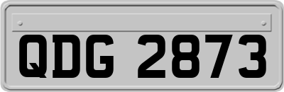 QDG2873