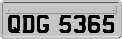 QDG5365
